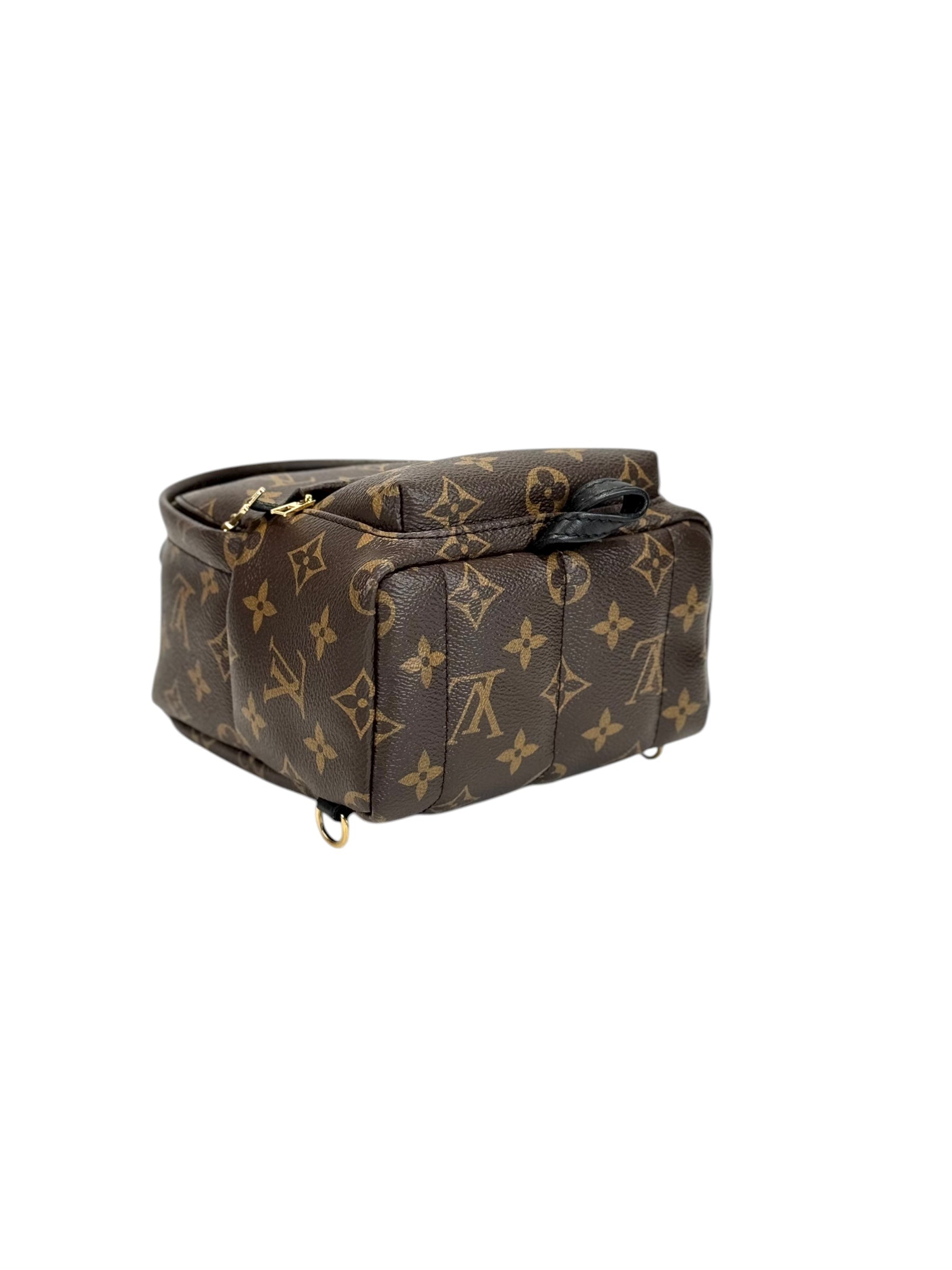 Louis Vuitton Monogram Mini Backpack Bag