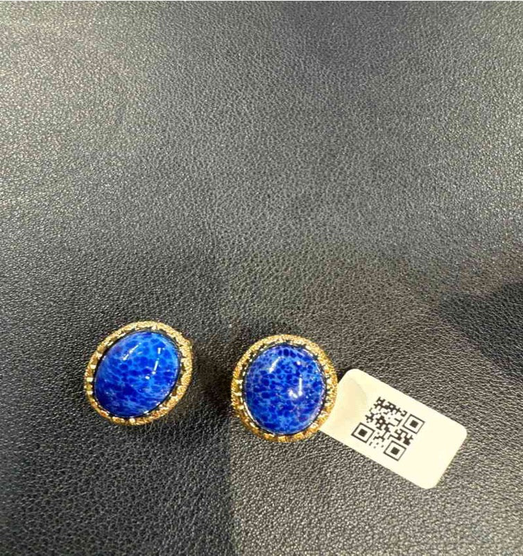Dior Blue Clip-on Earrings LZ505236