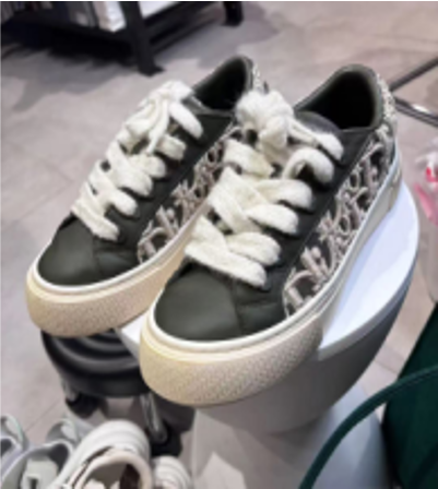 DIOR B33 Limited Edition Embroidered Leather Low-Top Sneakers for Men, Size 41 LZ406H9992