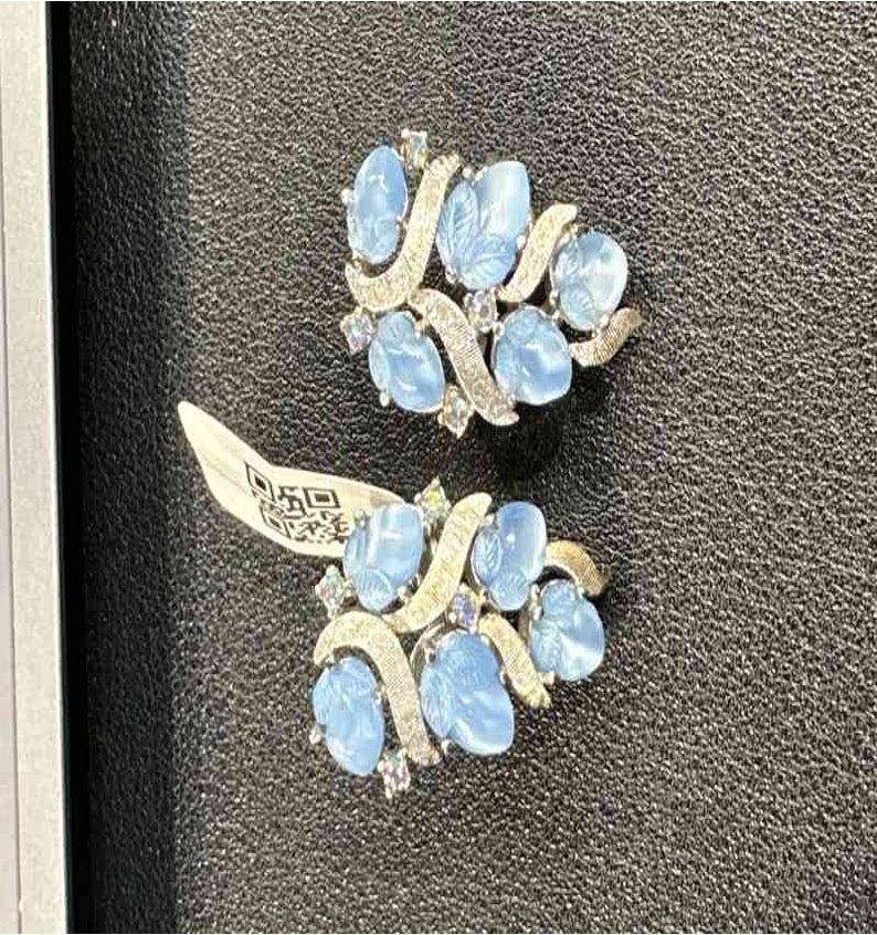 Blue Fruit Pouch Ear Clips LZ601422