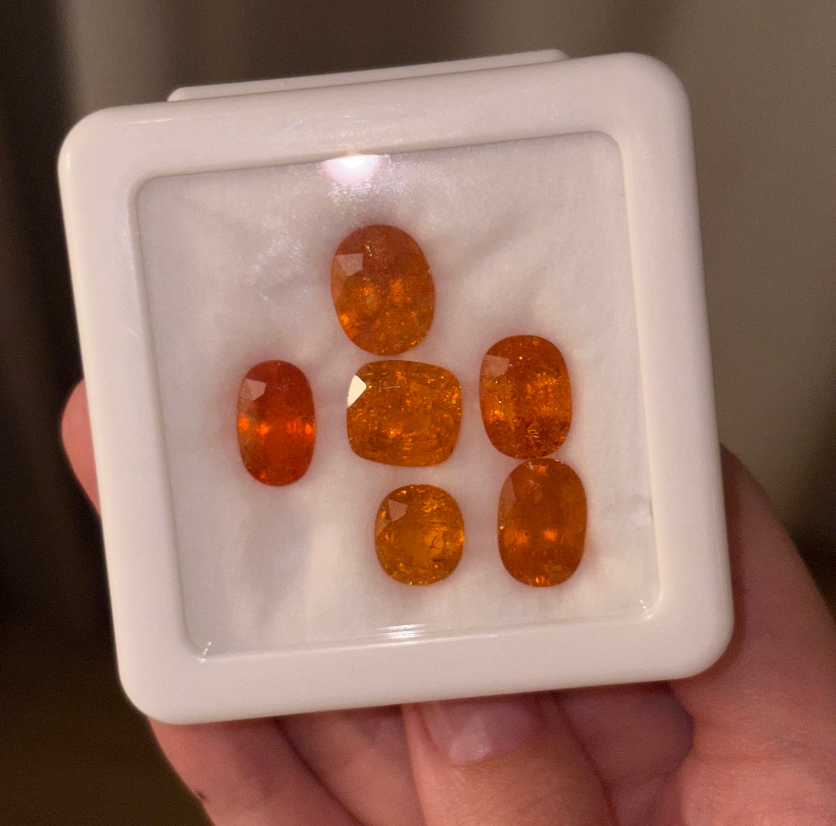 Big Fanta Garnet DXBCD1230