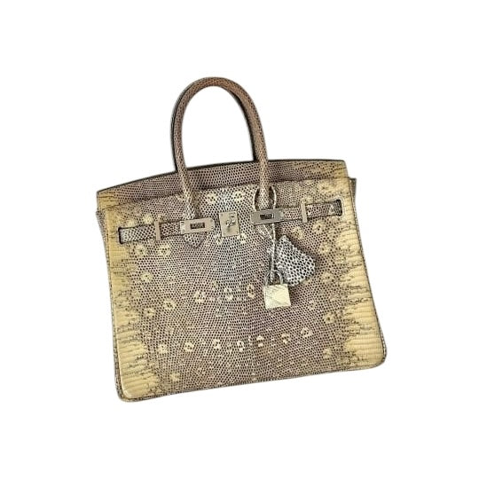 Hermes Birkin 25 Ombre PHW SYCYB1082