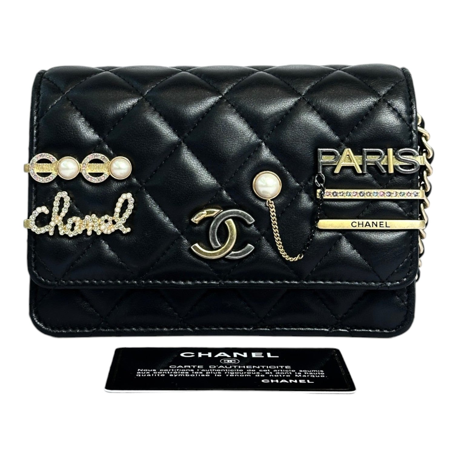 Chanel Classic Flap Mini Coco WOC