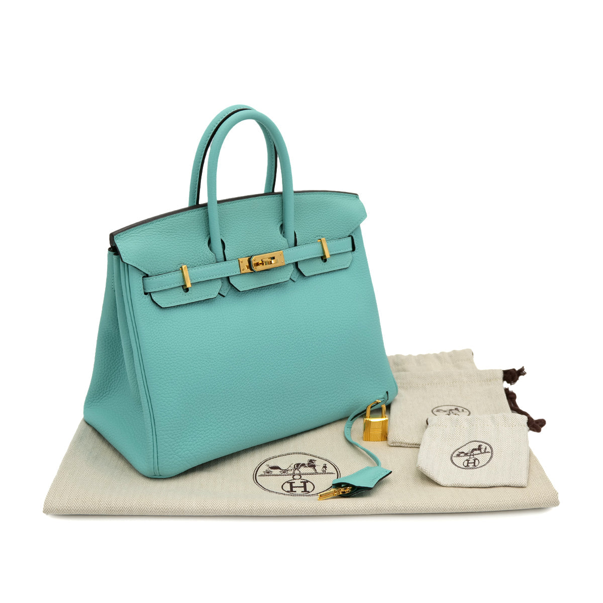 HERMES BIRKIN 25 BLUE SAINT CYR TOGO HAND BAG T GHW 90301656