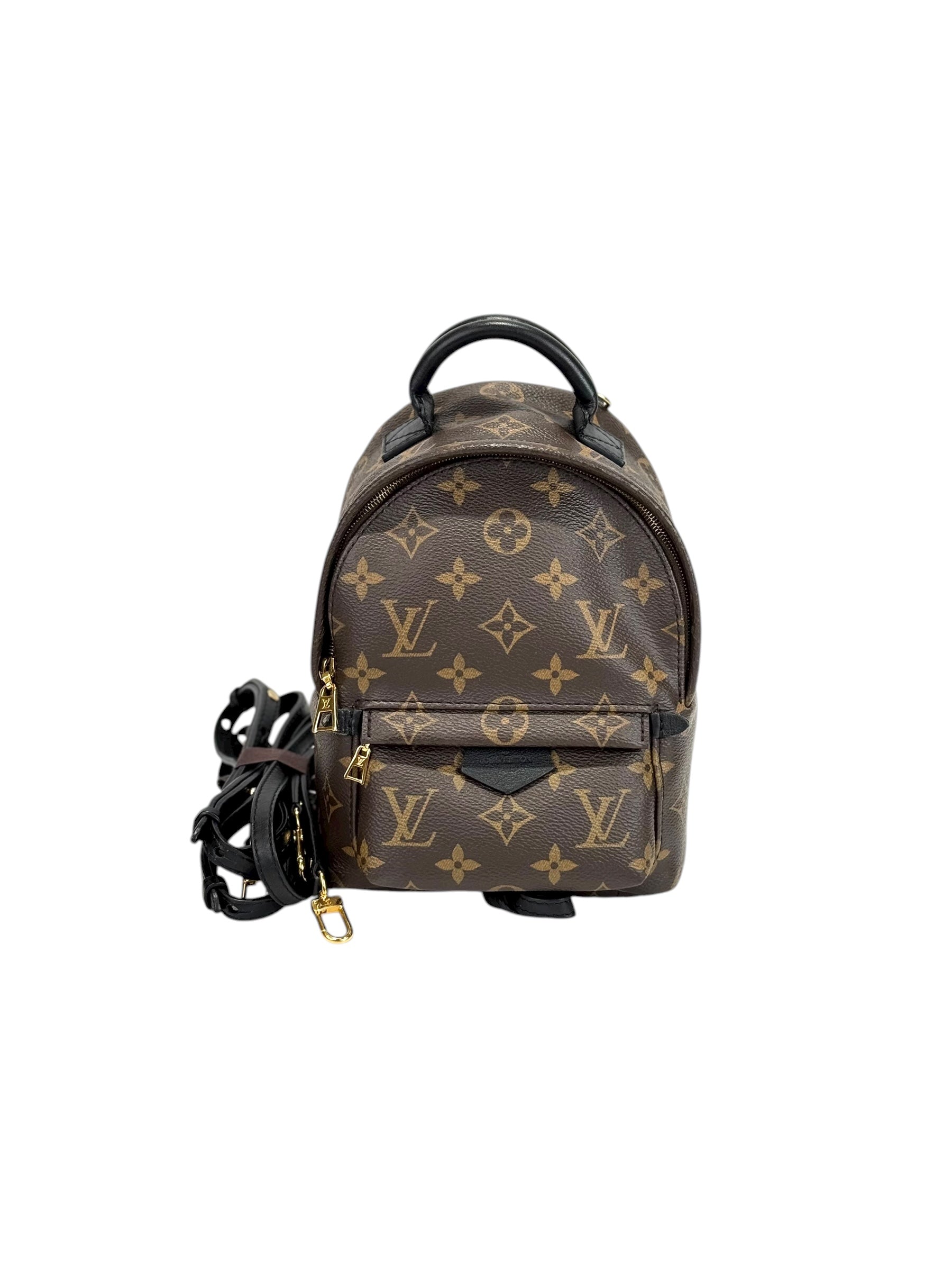 Louis Vuitton Monogram Mini Backpack Bag