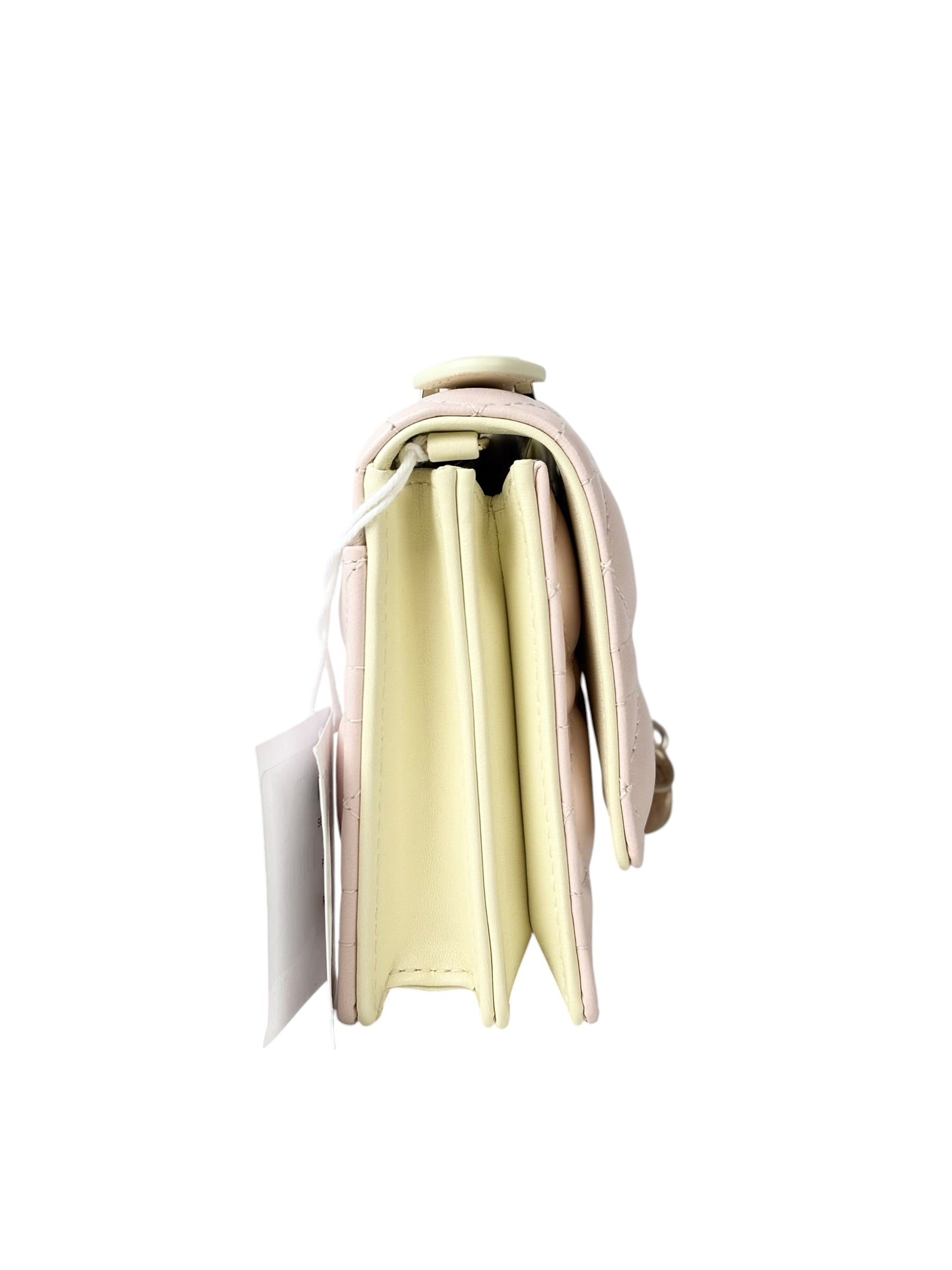 Dior My Dior 2 Tone Bag - Full Set