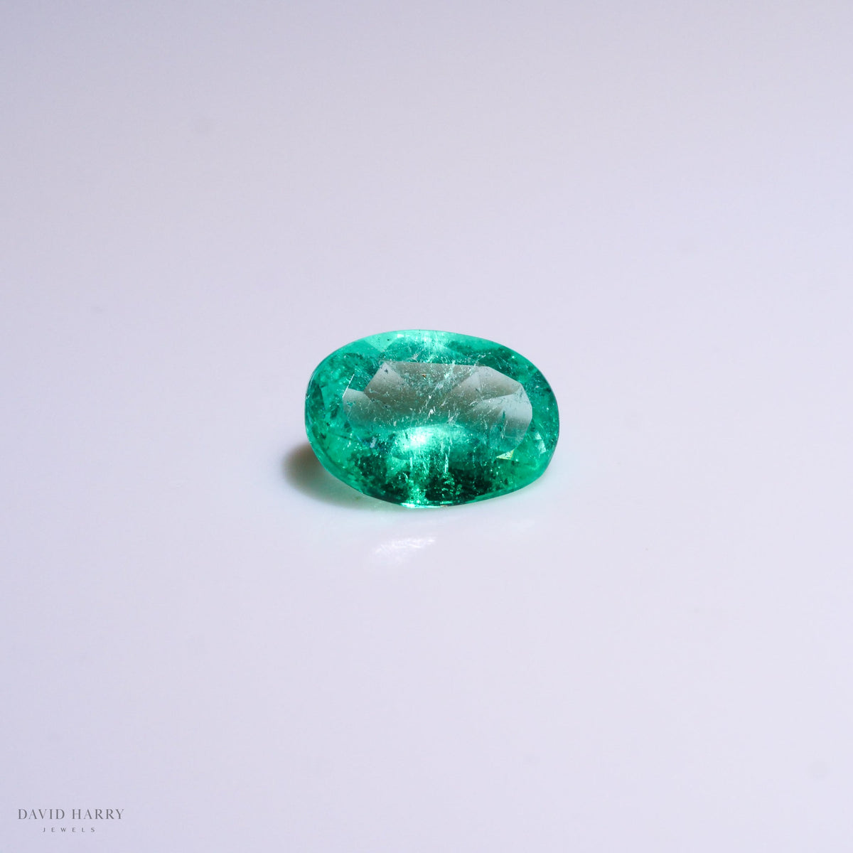 CEM005