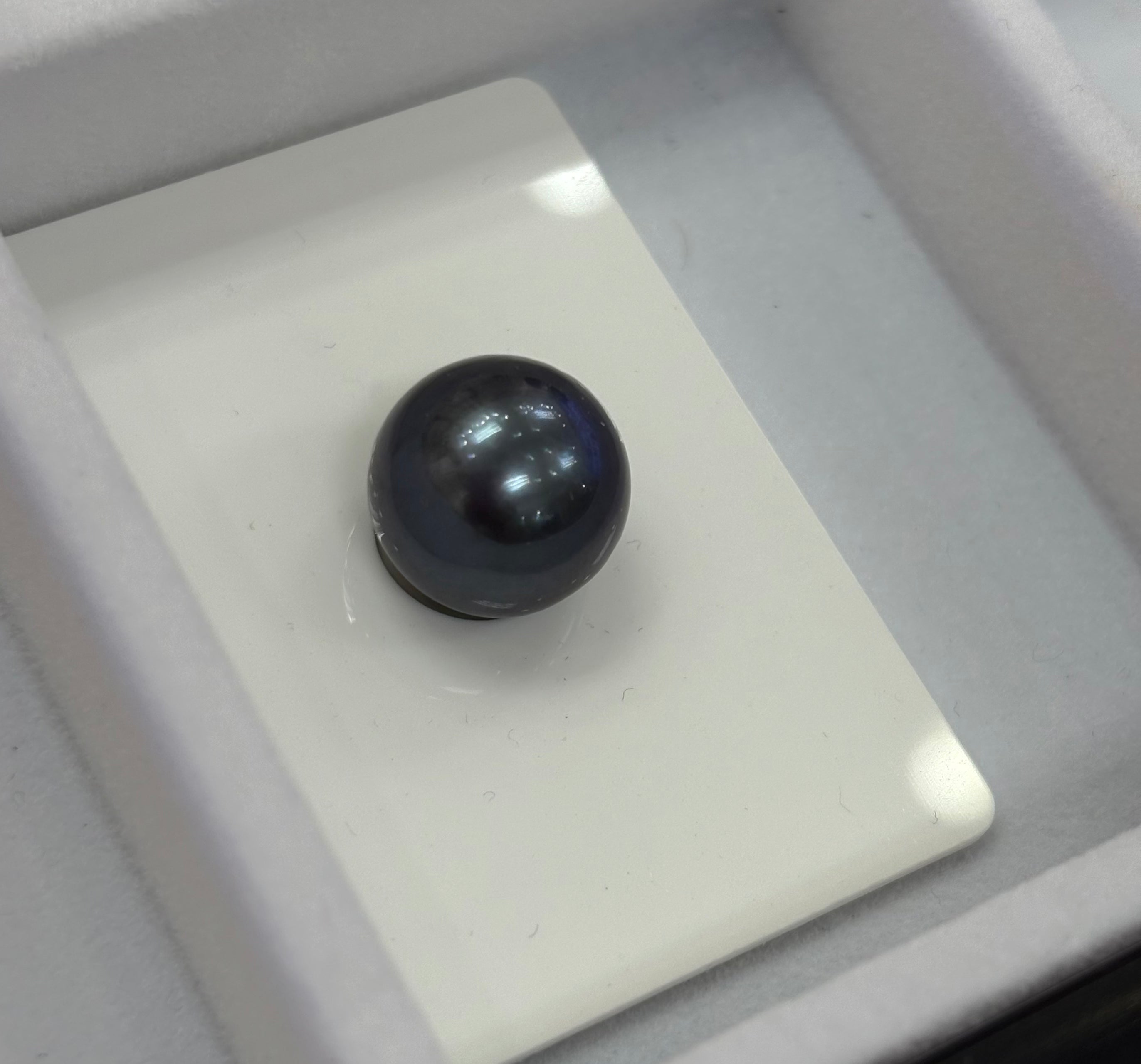 Tahitian Black Pearl DXBCS0591
