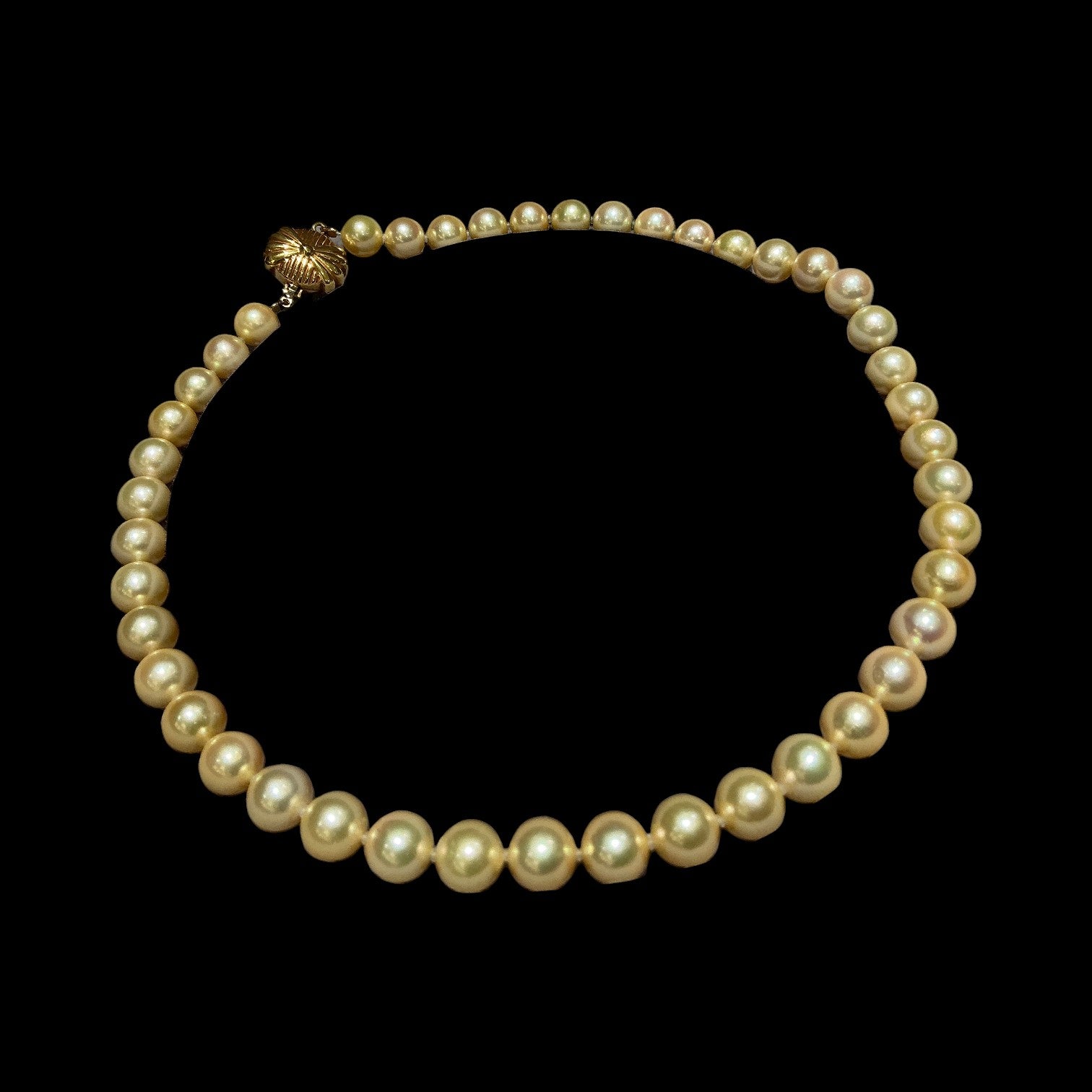 8.9mm & 9.3mm Natural Yellow Akoya Pearl Necklace set in 18K Gold