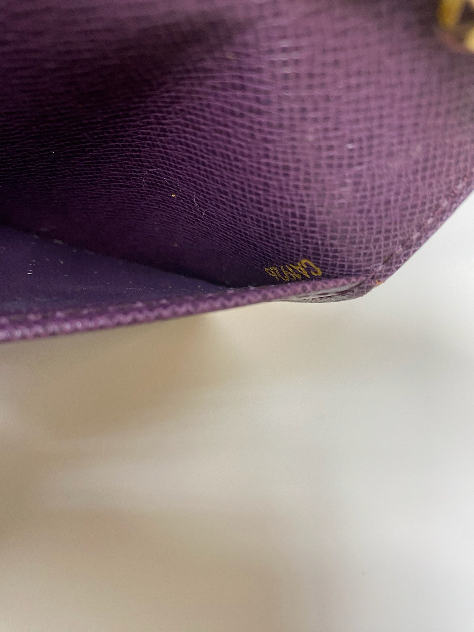 Louis Vuitton Epi six-ring agenda cover detail