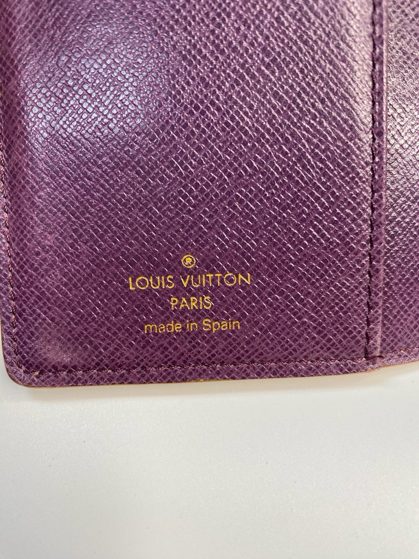 Louis Vuitton Epi six-ring agenda cover detail
