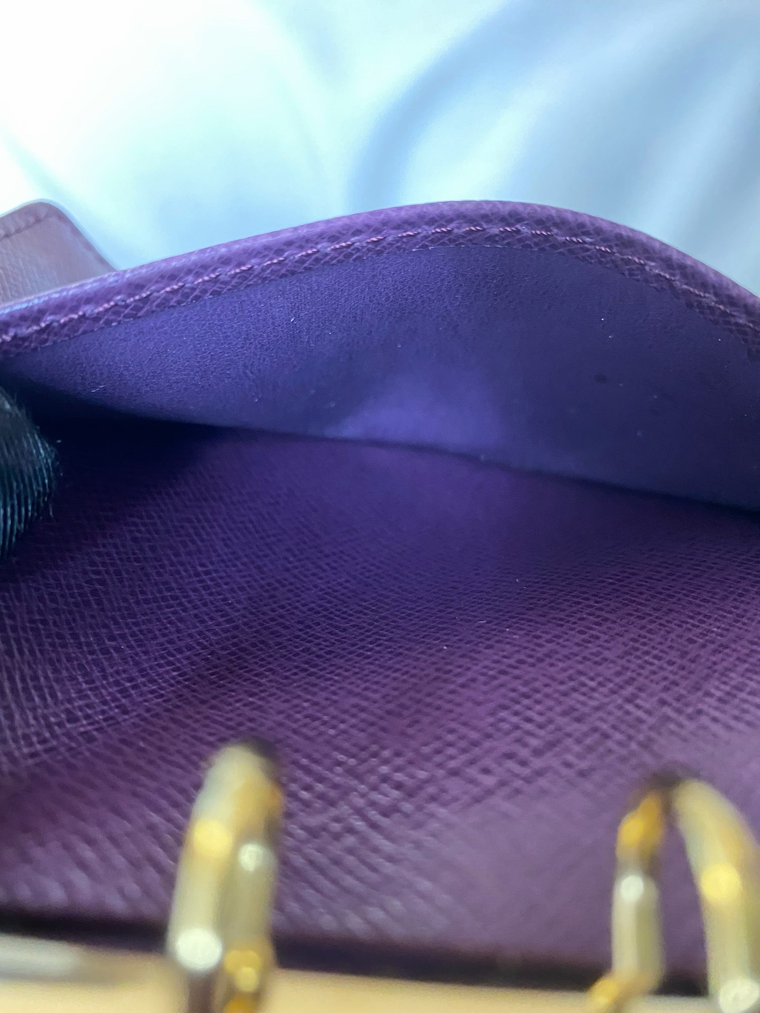 Louis Vuitton Epi six-ring agenda cover detail