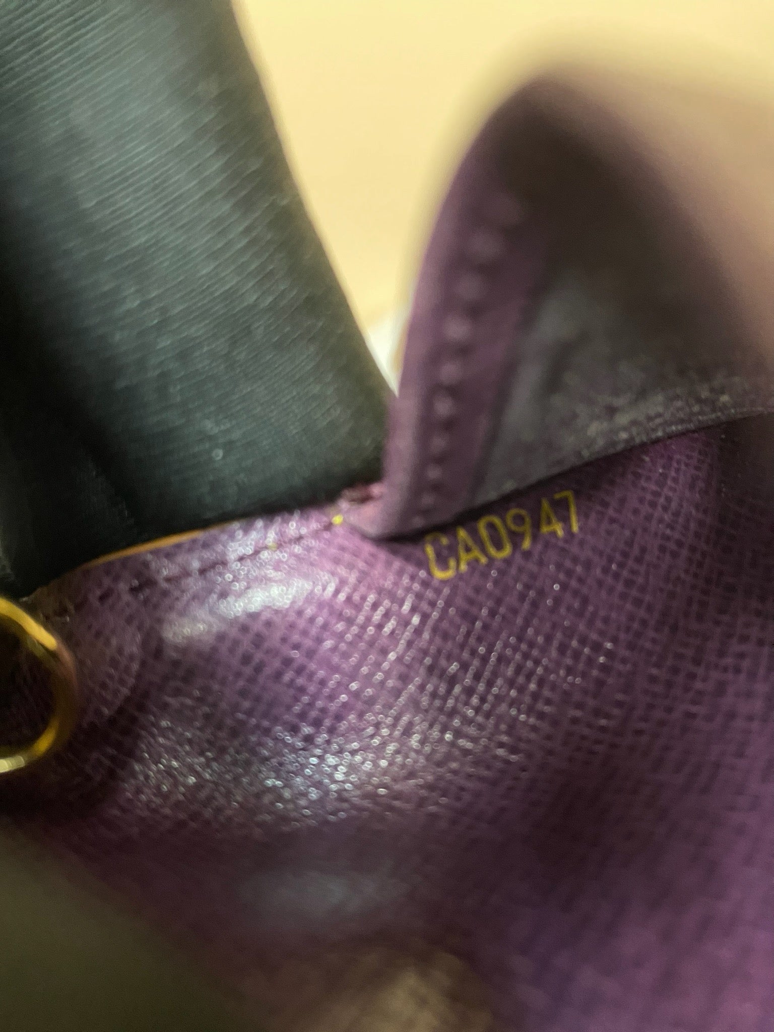 Louis Vuitton Epi six-ring agenda cover detail