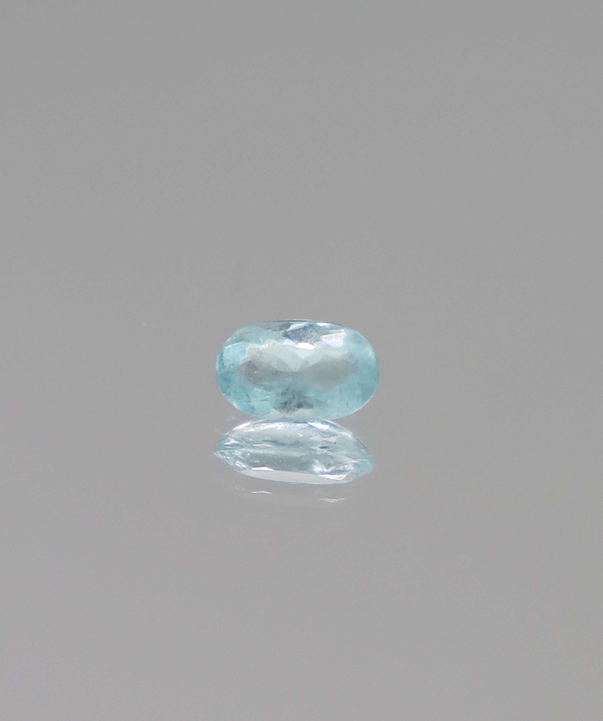 0.65ct Blue Paraiba Cuts DXBD0575