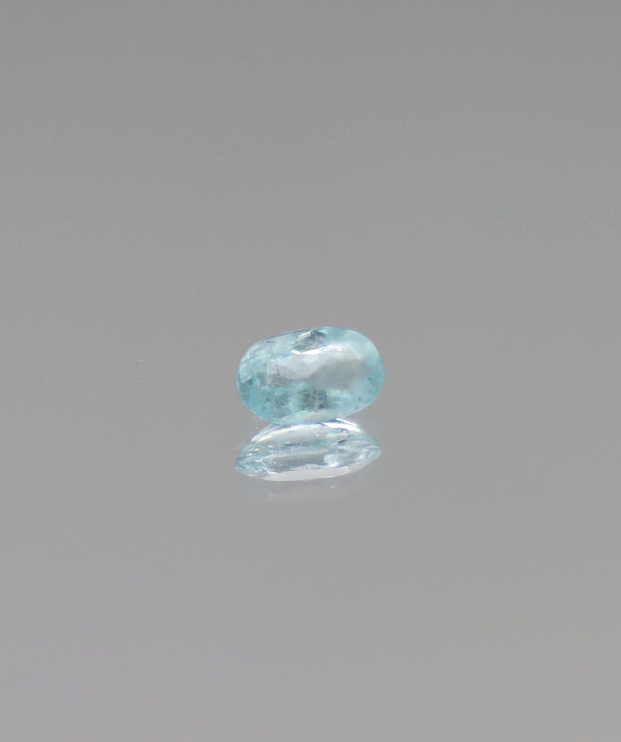 0.65ct Blue Paraiba Cuts DXBD0575