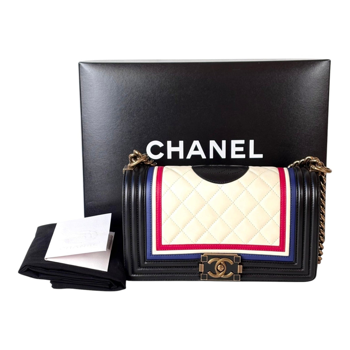 Chanel Leboy Medium Multicolour Bag