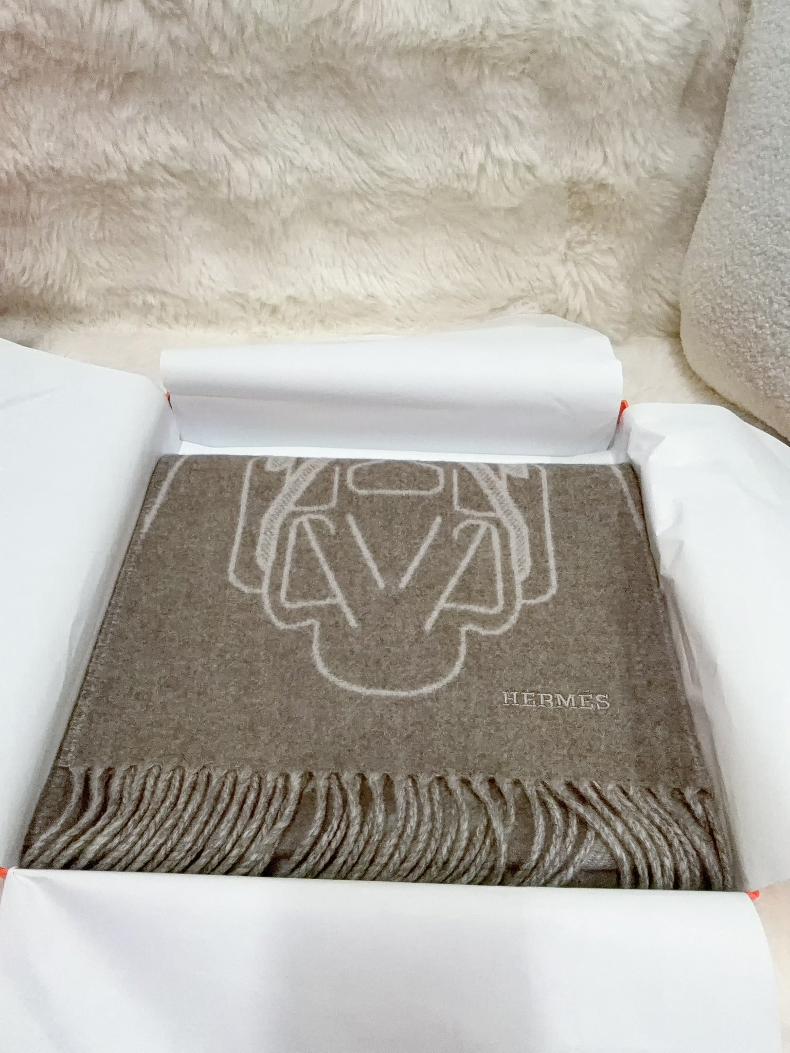 Hermès Fringed Scarf