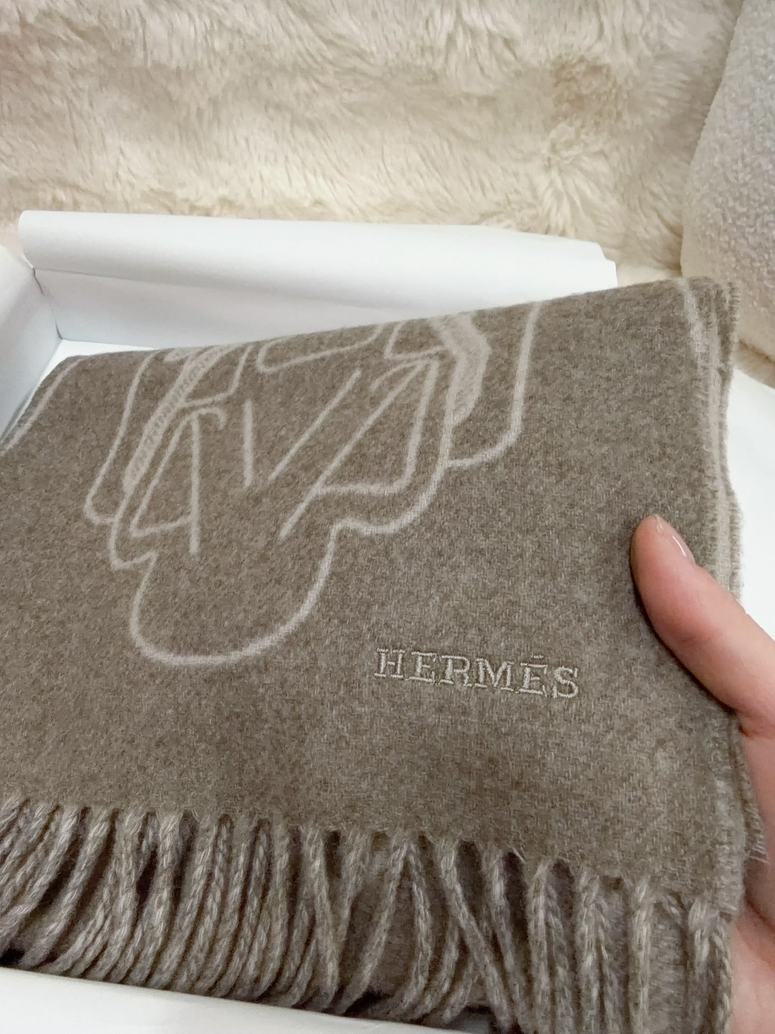 Hermès Fringed Scarf