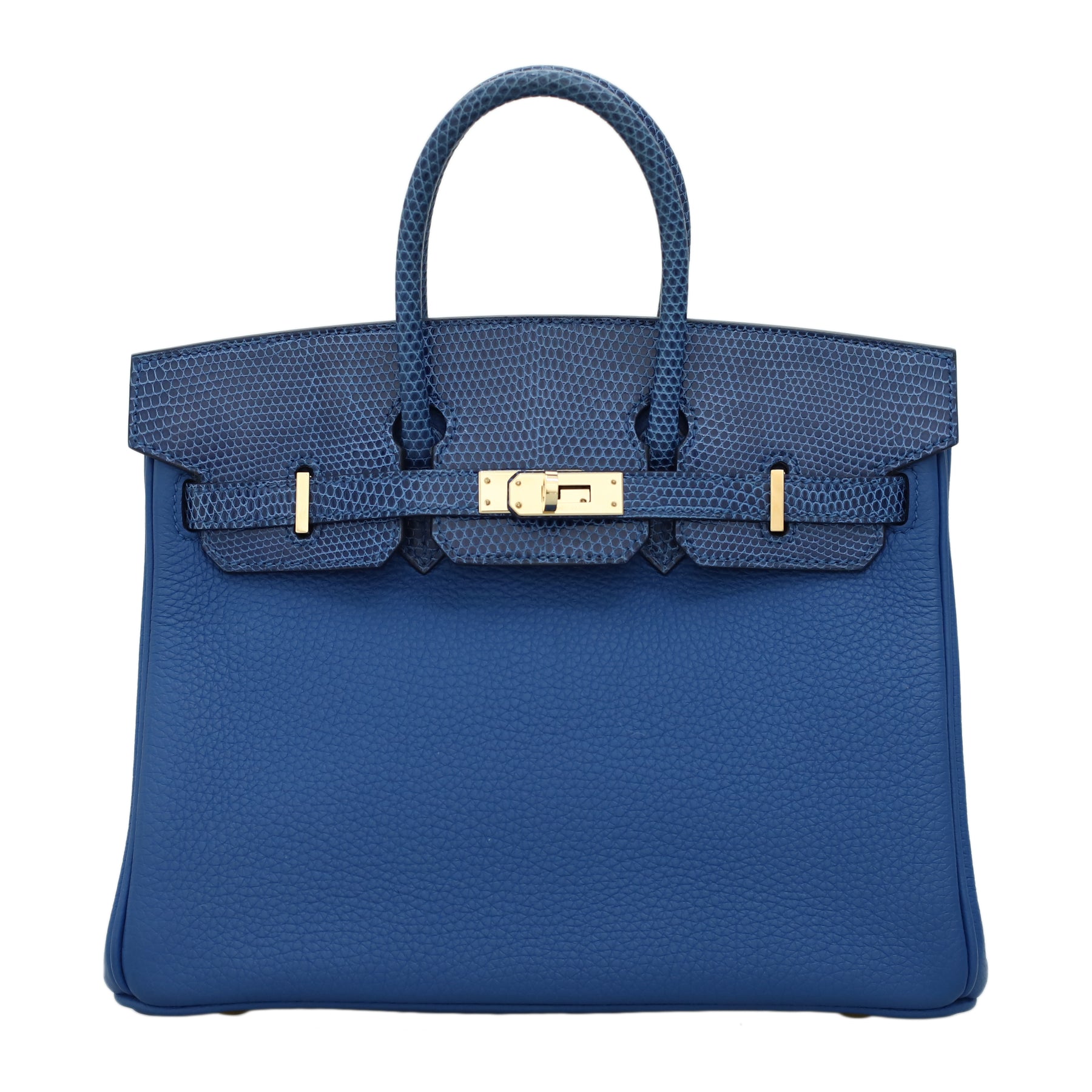 Hermès Touch Birkin 25 Lizard Bag HER08150B