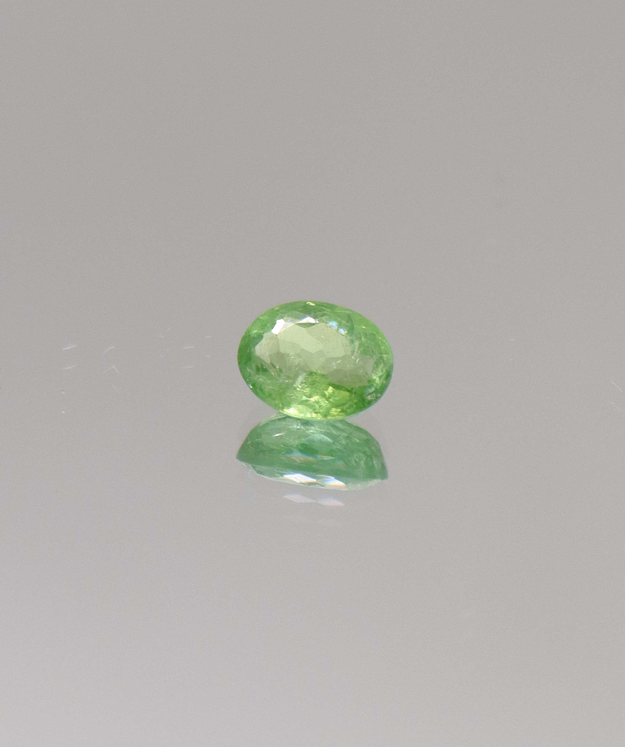 Paraiba 1.11ct Green DXBS6626
