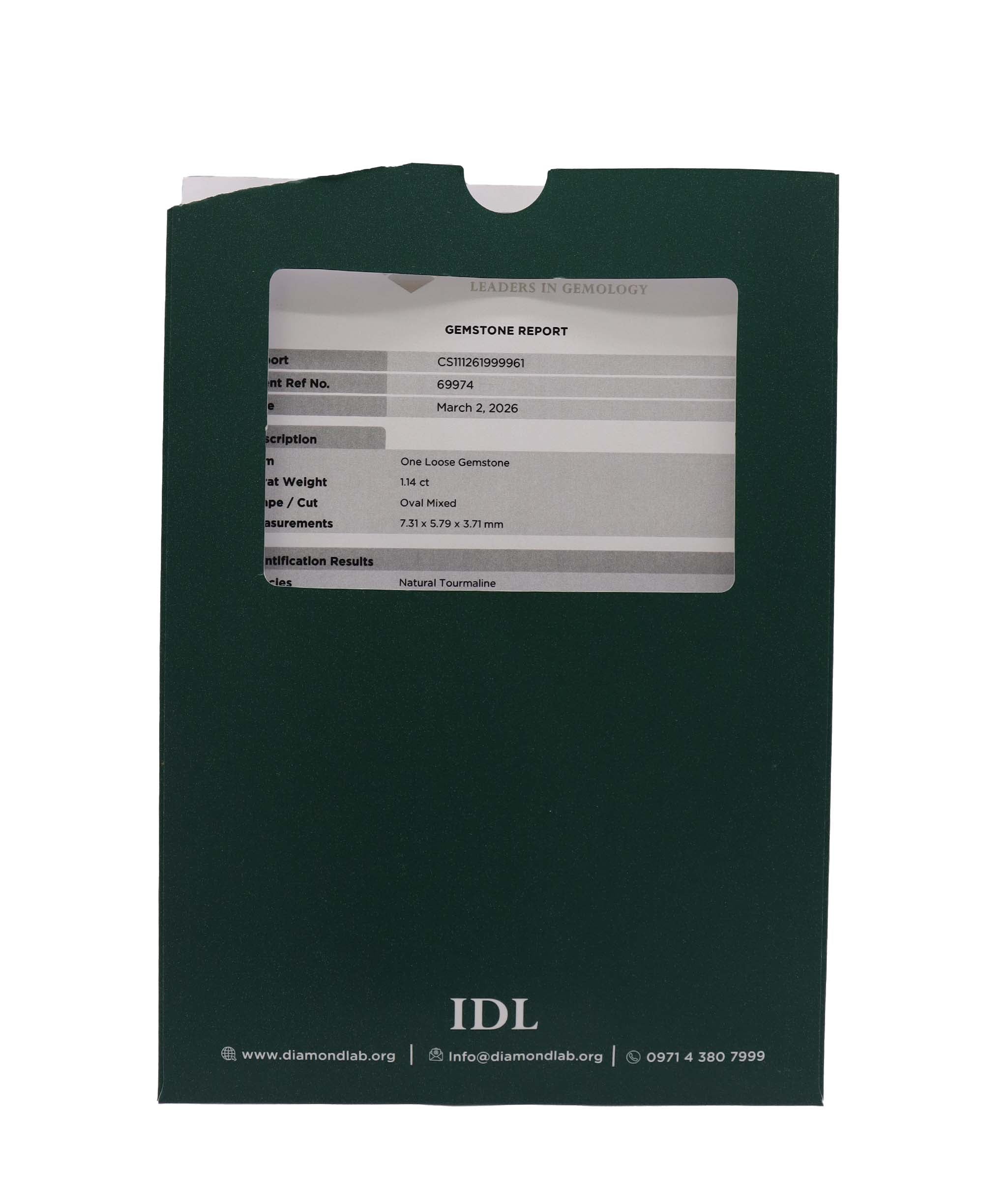 Paraiba 1.11ct Green DXBS6626
