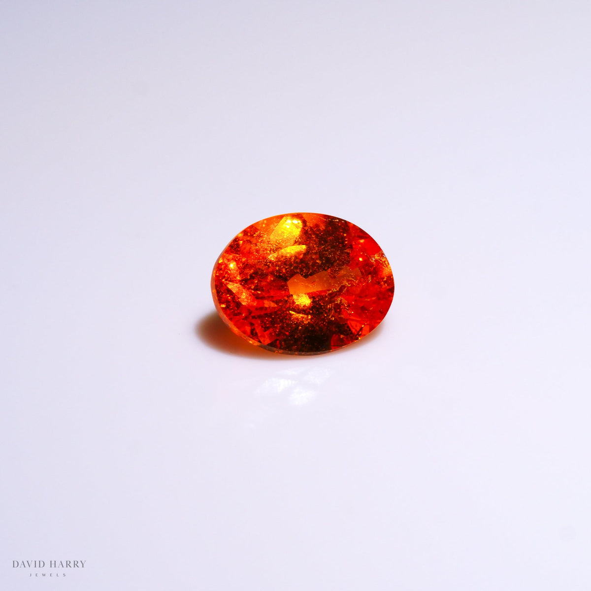 SPE007