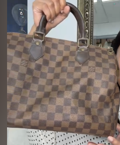 Louis Vuitton Damier Speedy 25 Bag ALL1166