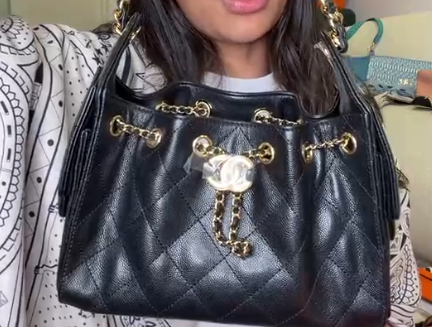Chanel 25 Mini Hobo Brand new in box ALC4243