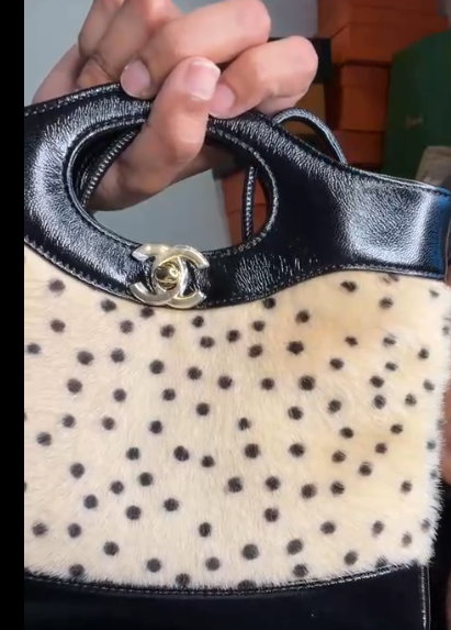 Chanel polka dot bag ALC4225