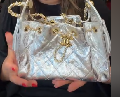 Chanel Metallic Bag ALC4250