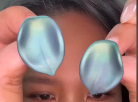 Titanium Earrings - JJC3083