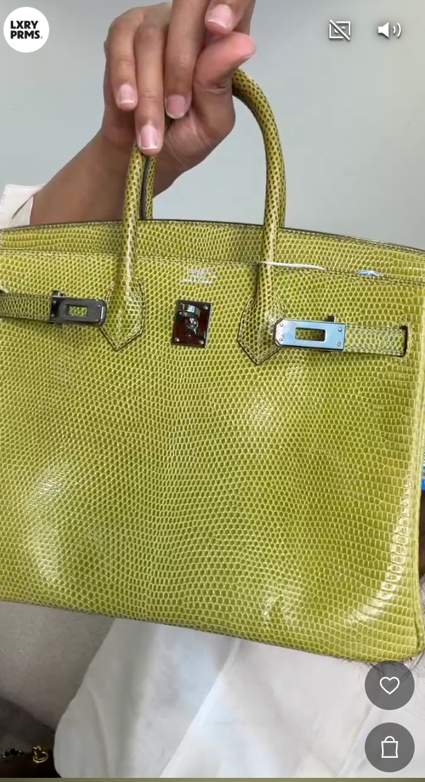 Hermes B25 Lizard ALC4308