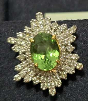 Tsavorite Garnet Earrings SYCB28a