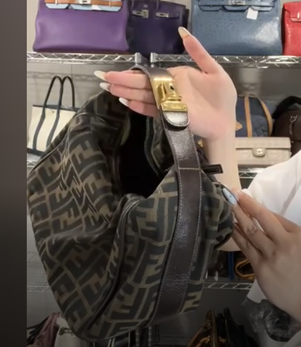 FENDI Canvas × Leather Brown Zucca Handbag B0808MBX2H