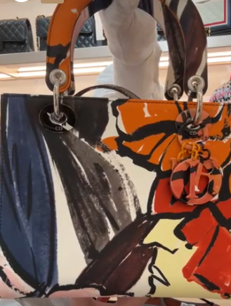 Dior Art Bag
