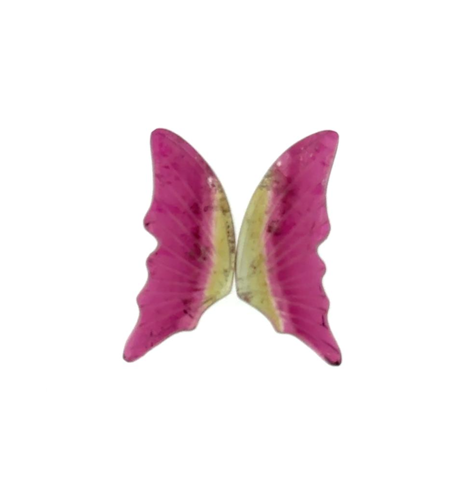 12.83ct BI-COLOR BUTTERFLY BRAZIL Rubellite Tourmaline PAIR DXBCS7171