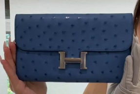 Hermes Mykonos Ostrich Constance Wallet PHW #C 2018 SYC2314