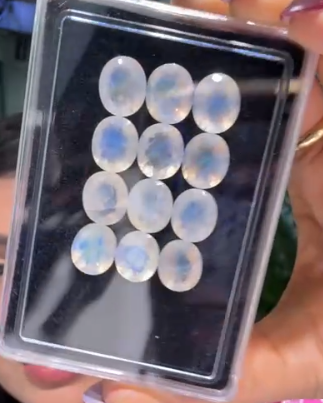 58.3crt Rainbow moonstone 10X12 Oval Facted (12 Pcs Box) RNB10X12OVCT