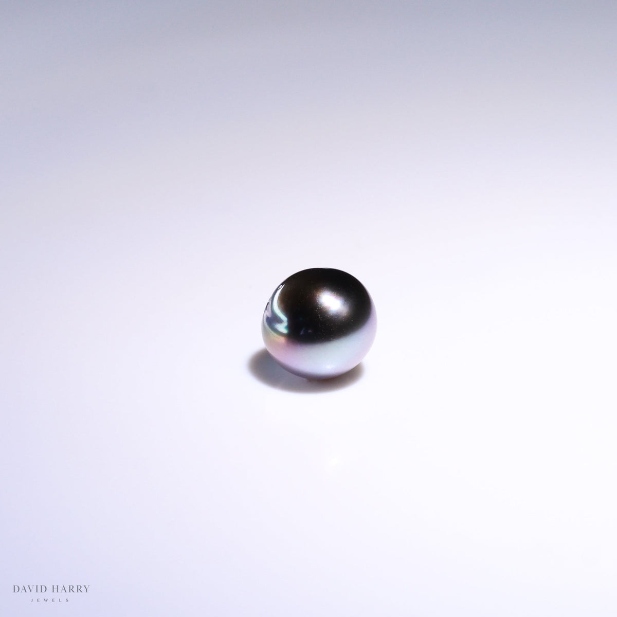 TAH019