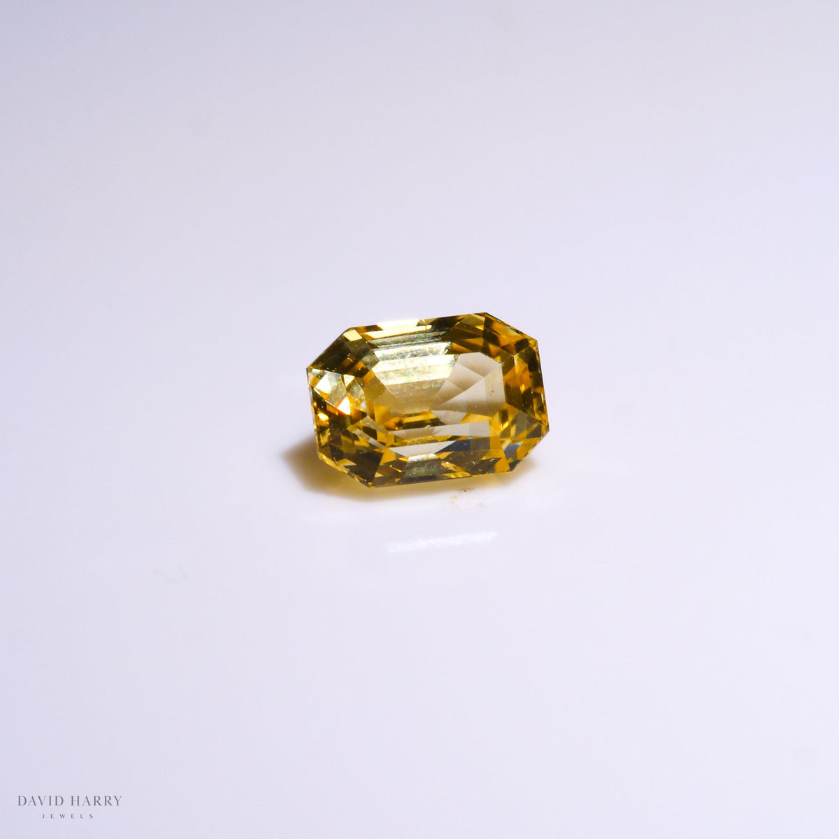 YSA009