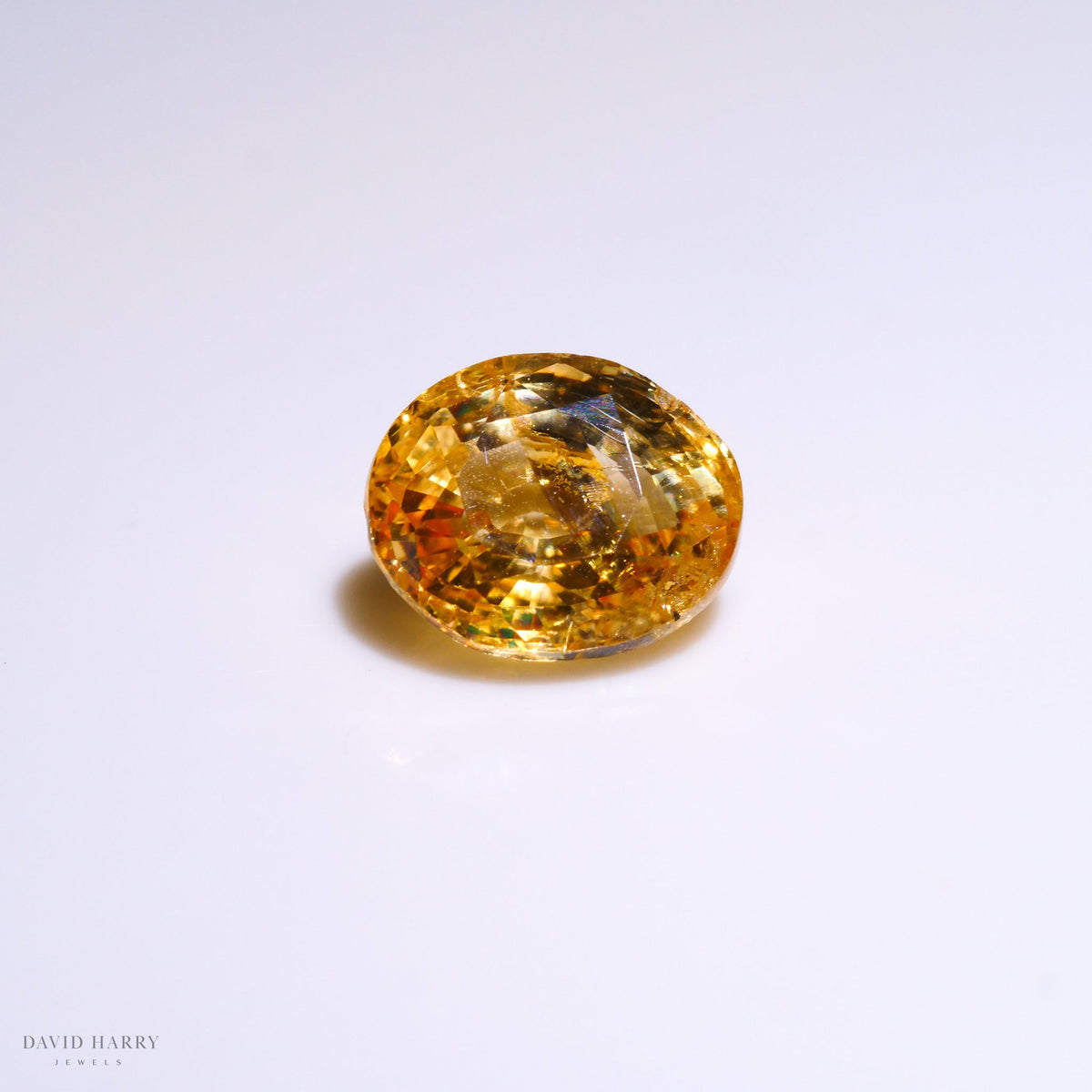 YSA018