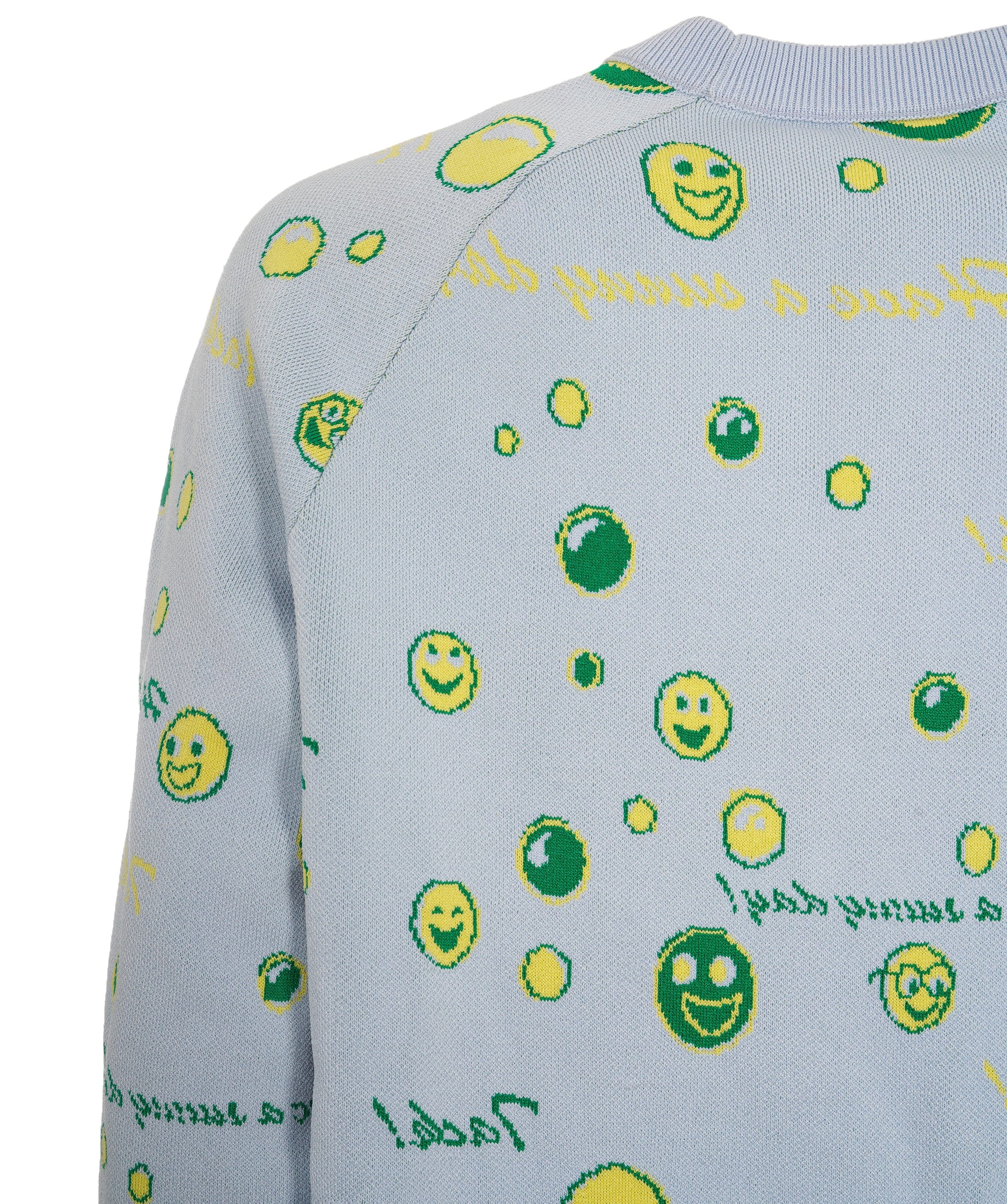 Acne Studios Acne Studio Light Blue Jumper ALC2445