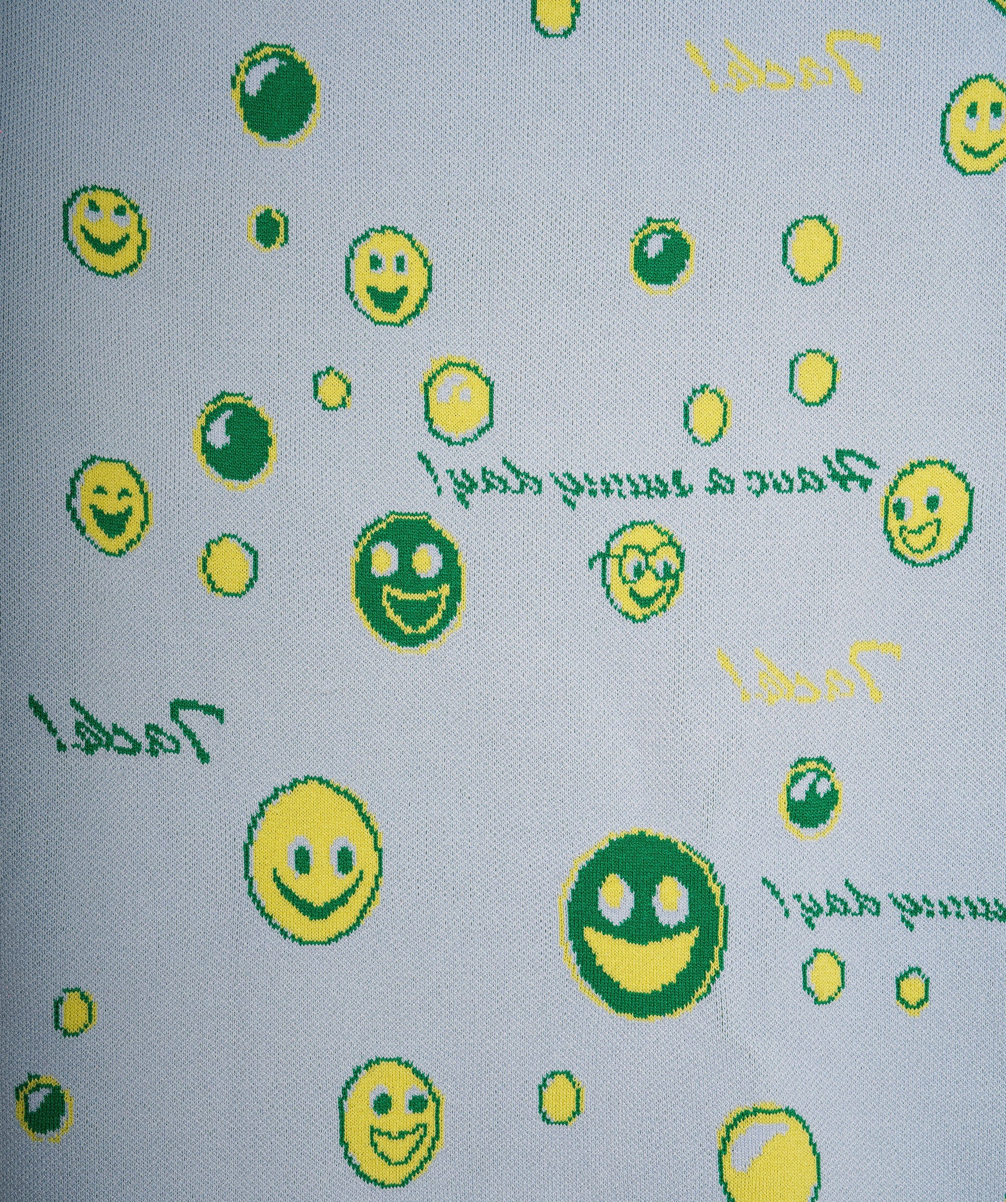 Acne Studios Acne Studio Light Blue Jumper ALC2445