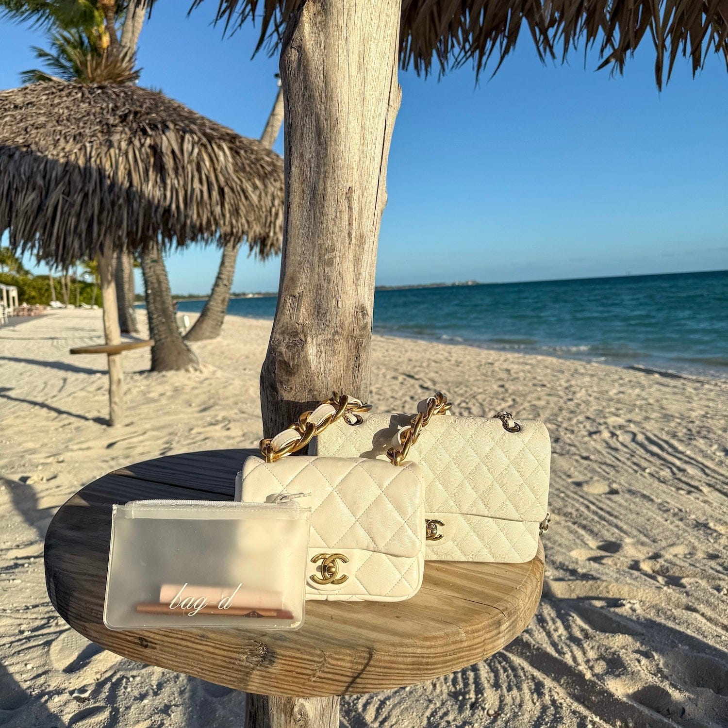 bag-d The Everything Pouch Frosted