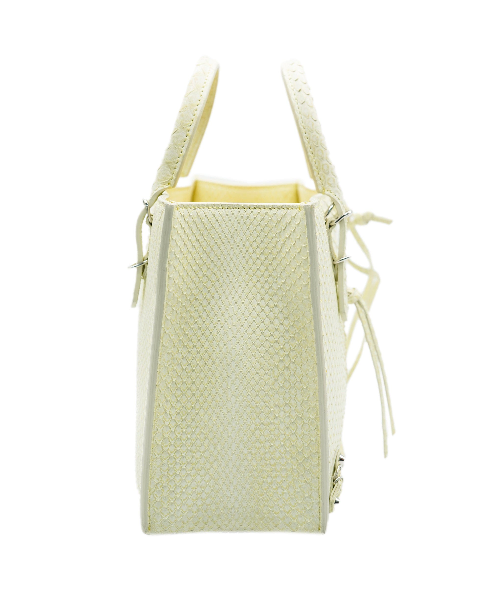 Balenciaga Balenciaga Python Bag ALC1380