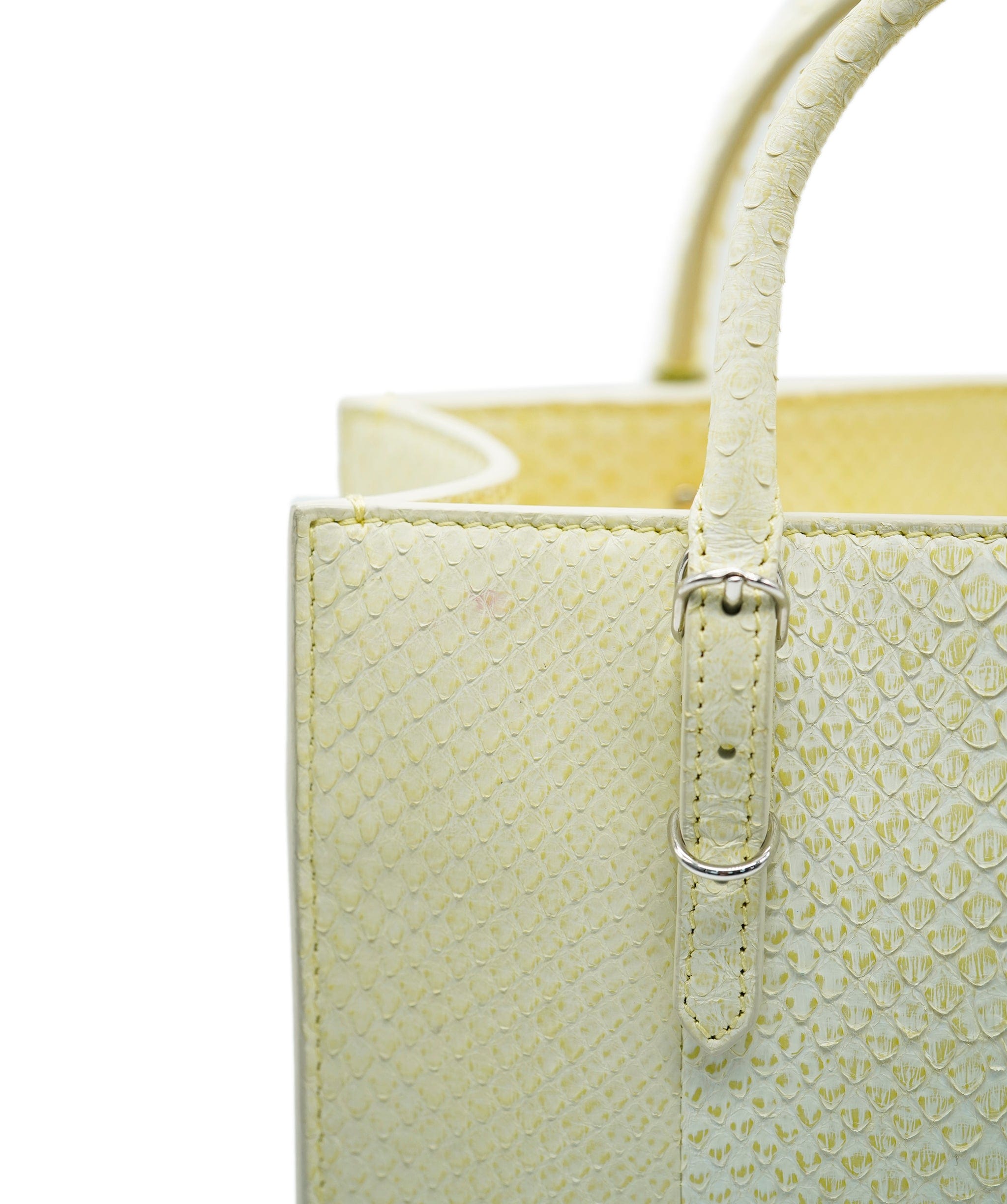 Balenciaga Balenciaga Python Bag ALC1380