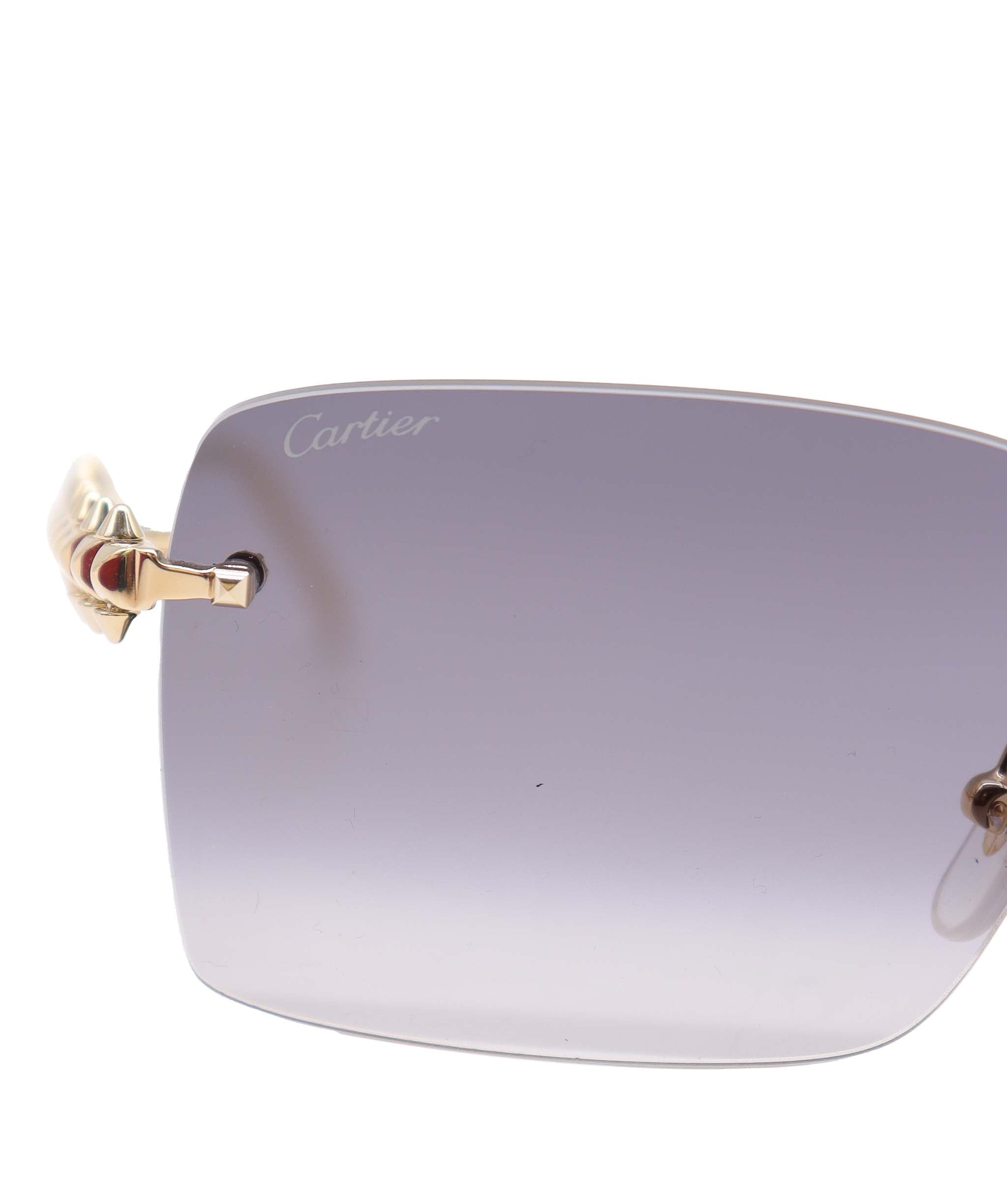 Cartier Cartier Sunglasses AGC3007