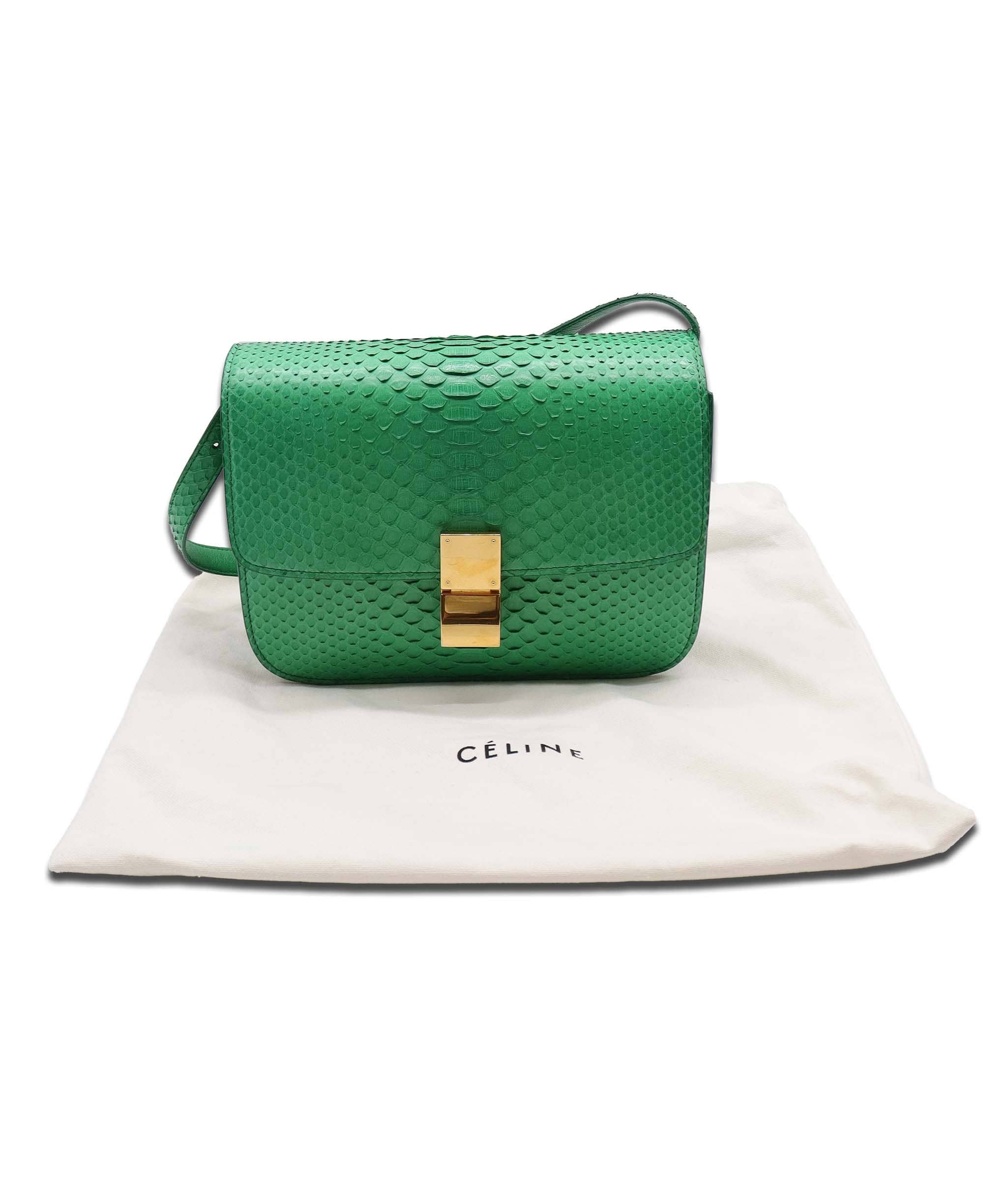 Celine Celine Green Python Crossbody Bag AGC3178