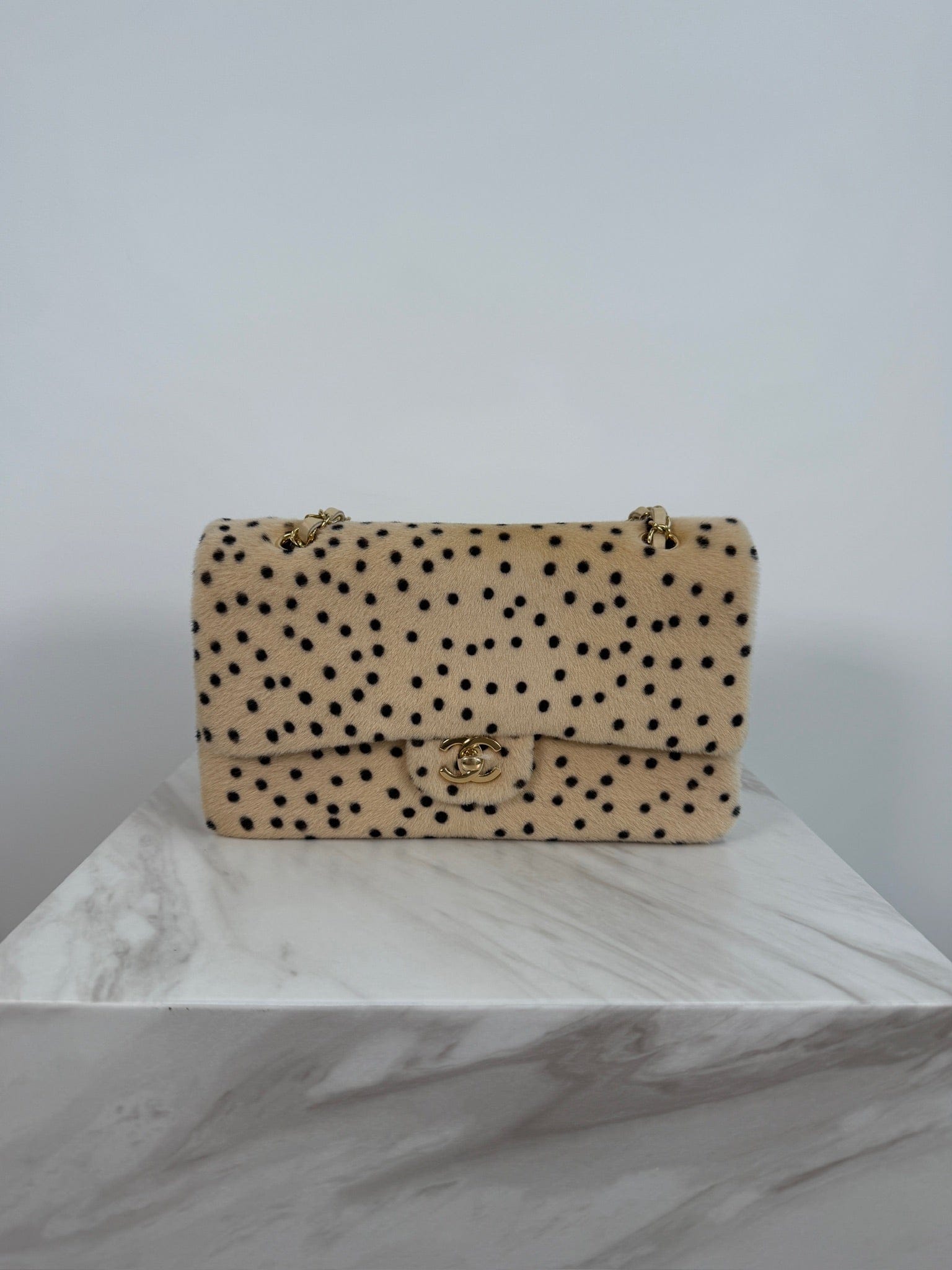 Chanel Chanel Metiers d’Art 2026 Flap Bag Light Beige & Black Lambskin & Gold-Tone Metal