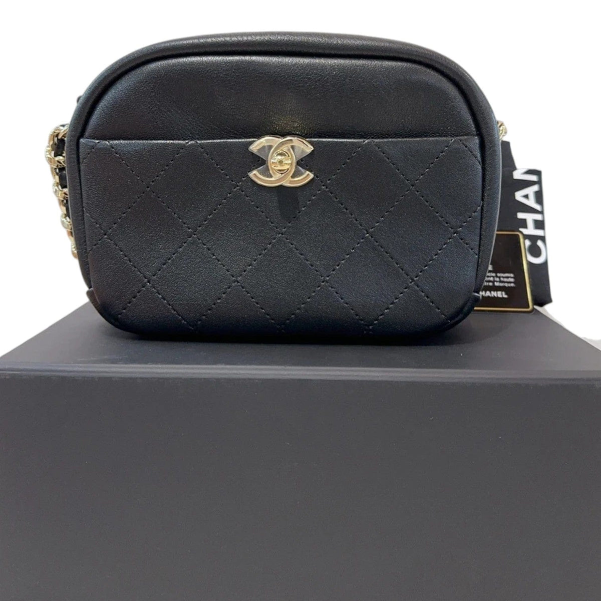 Chanel Chanel Black Calfskin Camera Bag - Full Set